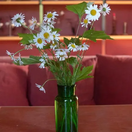 Accommodatie bij particulieren Chateau De La Boulaye